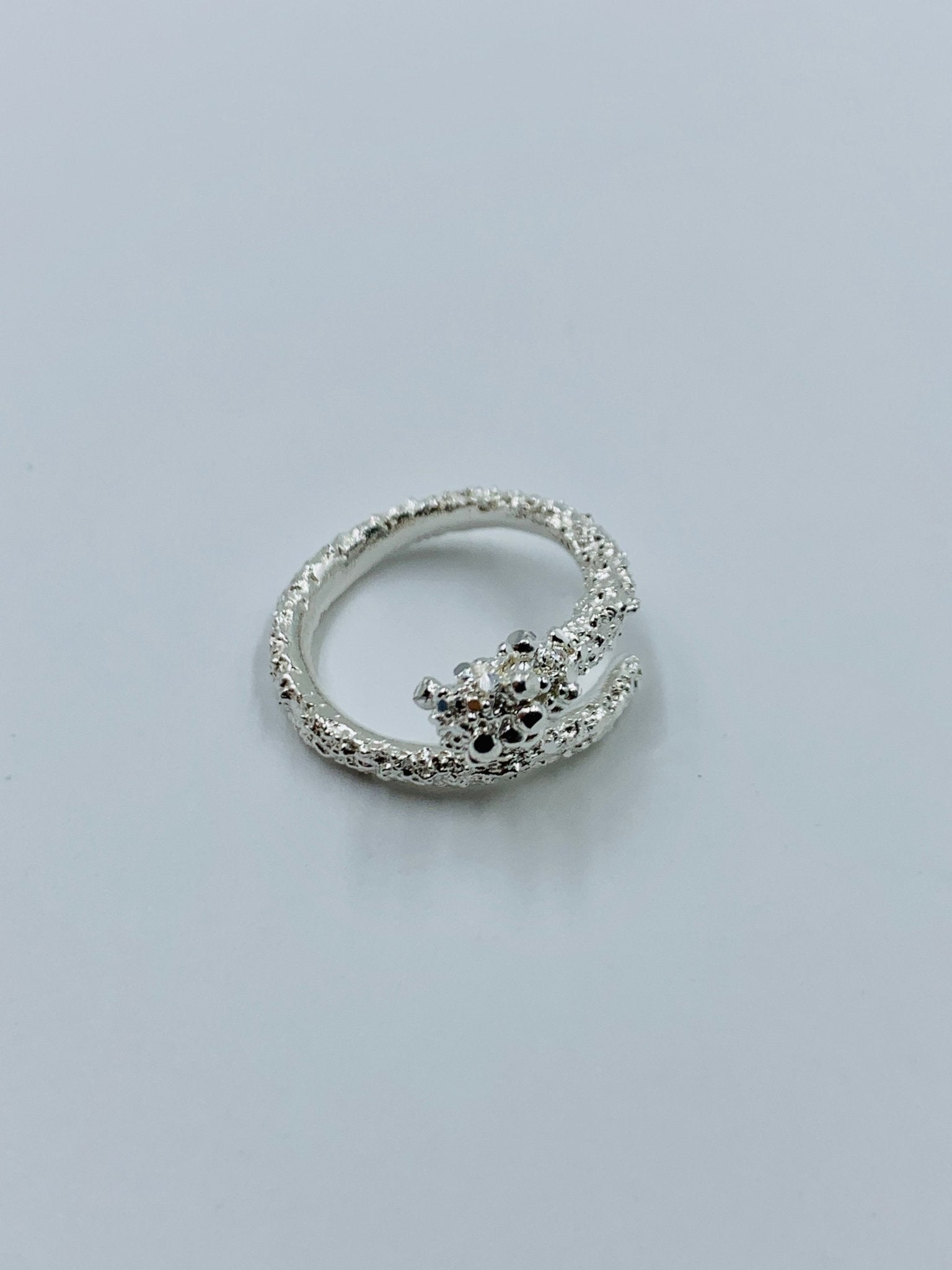 CLARI Ring - Maison Numéro 12