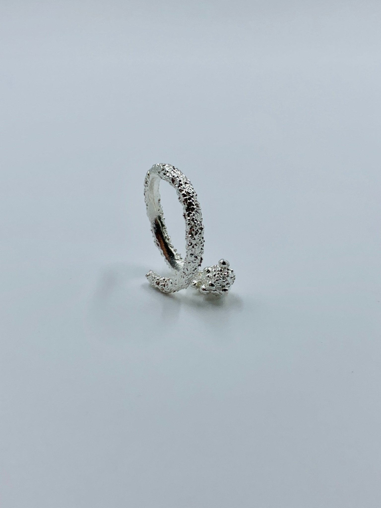 CLARI Ring - Maison Numéro 12